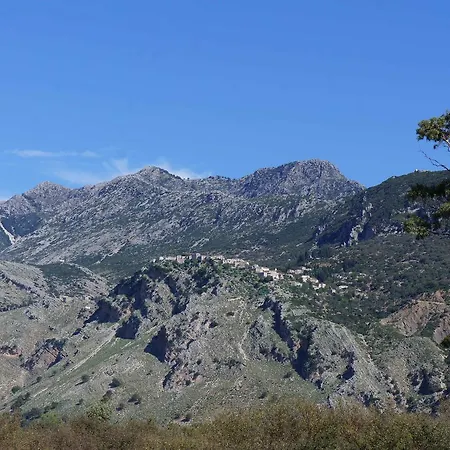 Les De * Qeparo
