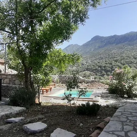 Les De * Qeparo